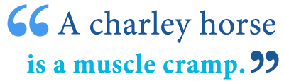 Definition of Charlie horse definition and definition of Charley horse definition 