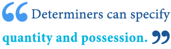 Noun determiners and possessive determiners examples