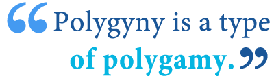 definition of polygamy definition of polygyny definition
