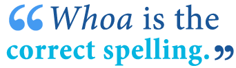 how to spell woah or whoa in a sentence