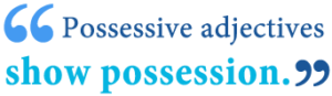 What is an Indefinite Adjective? Definition, Examples of Indefinite ...