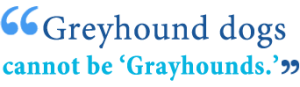 Grey or Gray: What’s the Difference? - Writing Explained