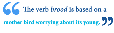 meaning of brood over